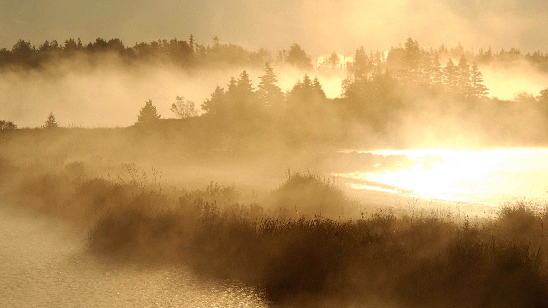 Landscape 1