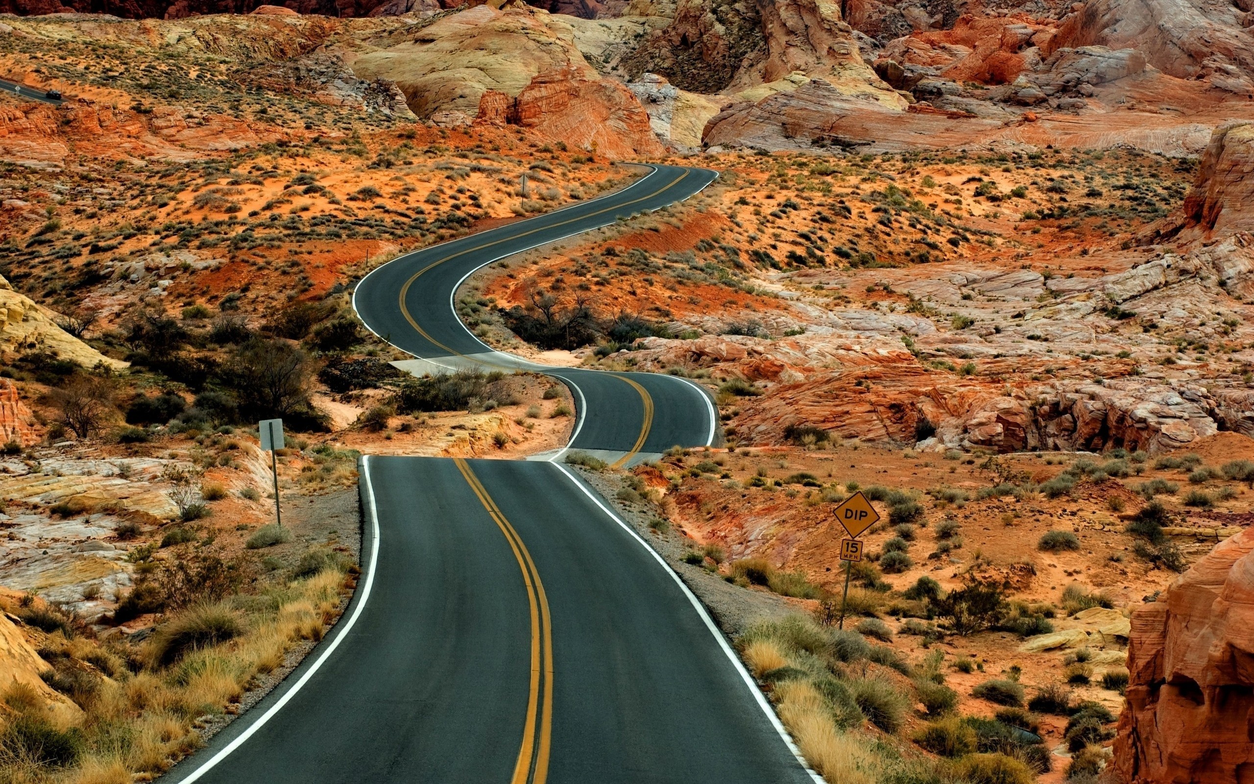 1329649678_long_road_w1[1]