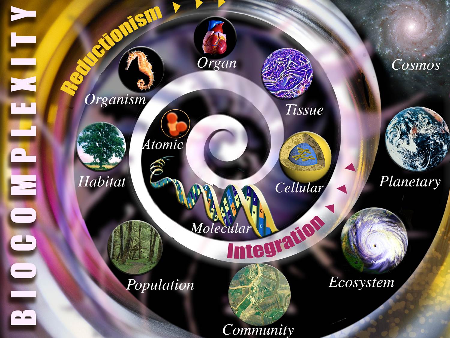 Biocomplexity_spiral