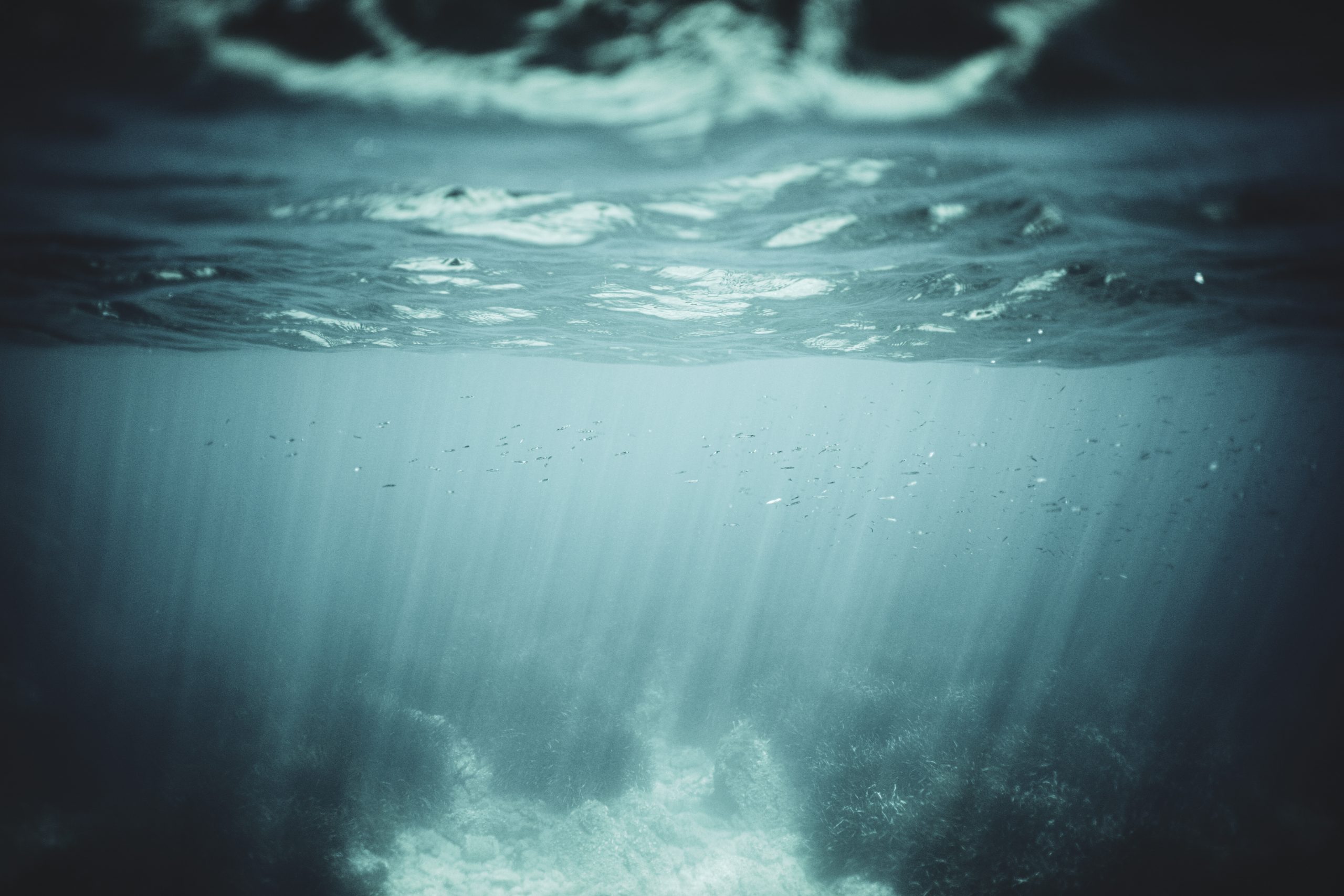 La motivazione di un coaching in profondità (Deep Coaching)